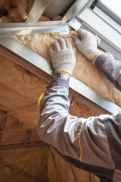 Best Insulation Installation Services in Aurora, TX